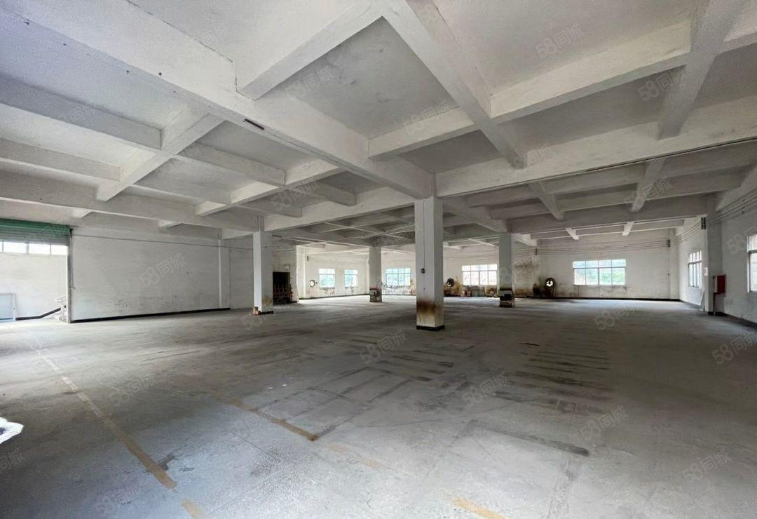 大岭山镇新出原房东独门独院标准4200平方厂房出租 可过环坪