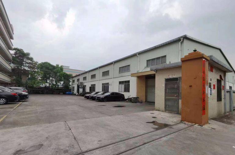 大岭山杨屋原房东小独院，钢构1300平，租金13元，高度8米