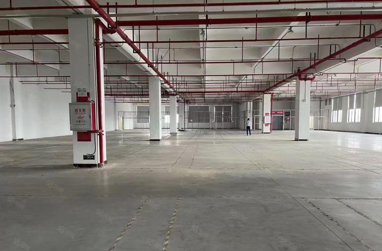 大岭山靠松山湖原房东独院厂房出租新出红本产业园一楼9.5米高