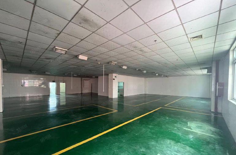 超低价 大岭山镇石大路新出工业园区楼上1300平厂房出租