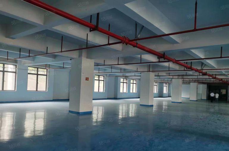 靠深圳，大岭山重工业带全新地坪漆厂房分租，三楼1500平方