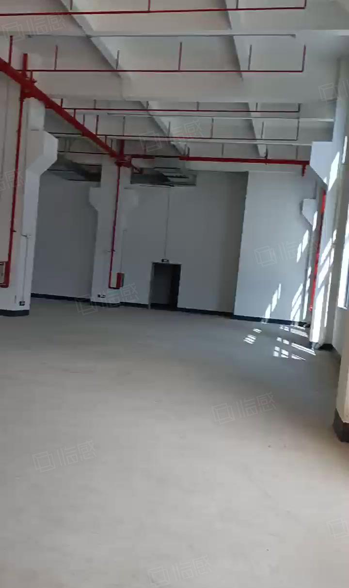 大岭山大塘村一二楼3000平米厂房低价出租，可分租可办环评