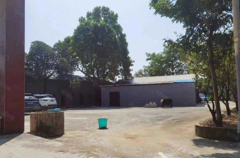 大岭山新空出来小独院单一层，价格实惠交通方便空地超大水电齐全