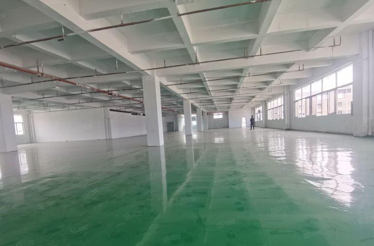 大岭山2000平10元本地房东红本独院标准三楼精装修厂房出租