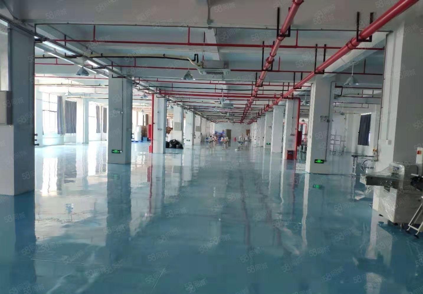 原房东直租 杨屋村新空出现成精装修厂房分租 可办环坪拎包入驻