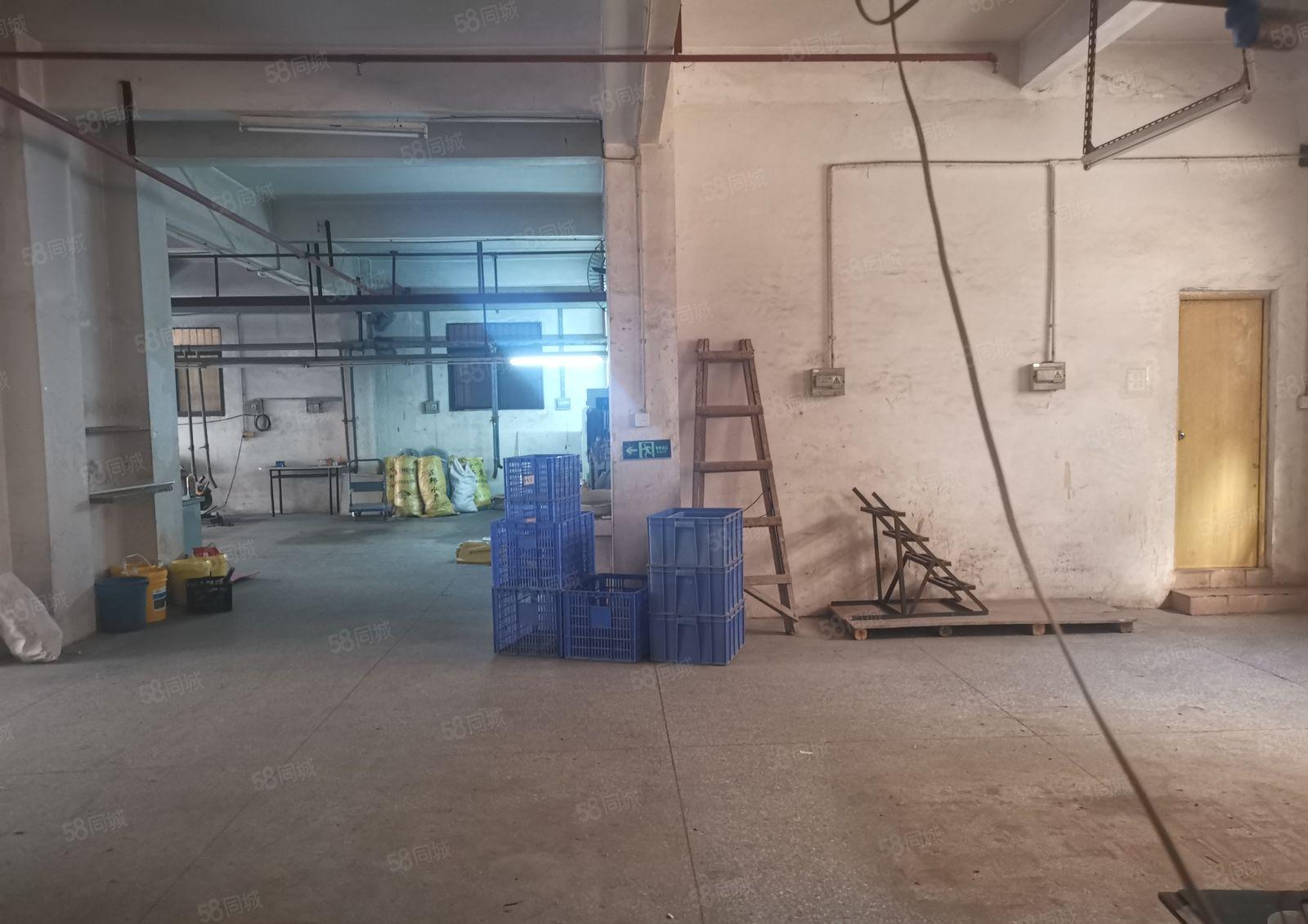 大岭山太公岭新出原房东两层独栋厂房招租