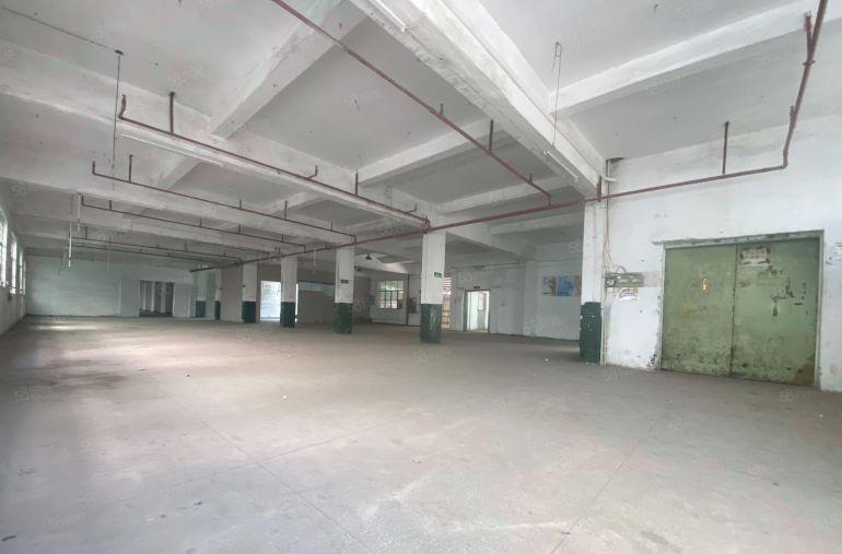 10块 大岭山镇107国空出原房东经典独门独院低价厂房出租