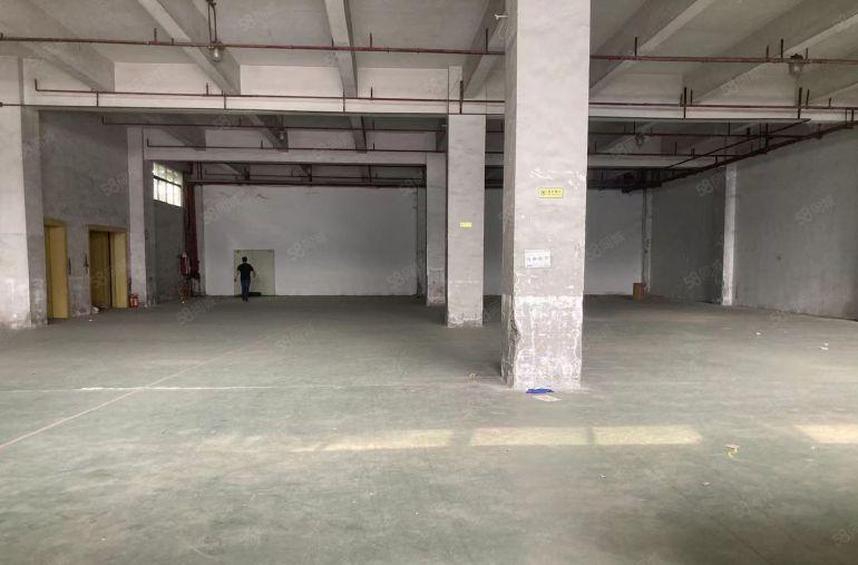 大岭山镇杨屋厂房一楼