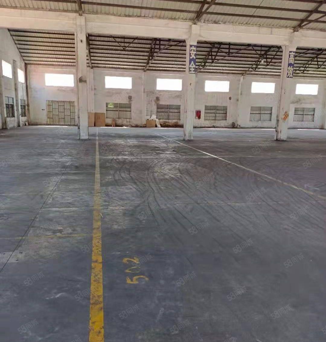 大岭山厚大路边单一层3000平方，面积实量，配电630千瓦