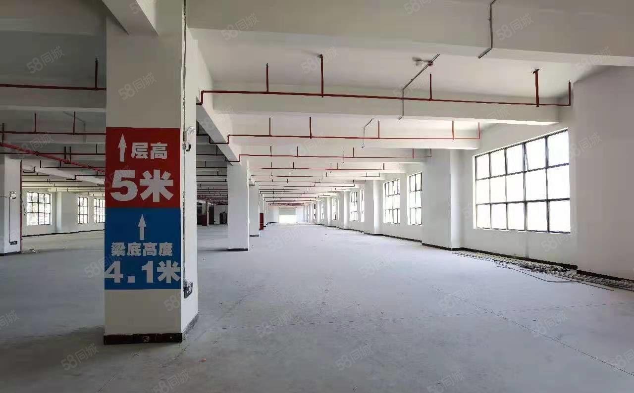 大岭山杨屋原房东全新厂房整栋每层3000平方厂房出租！