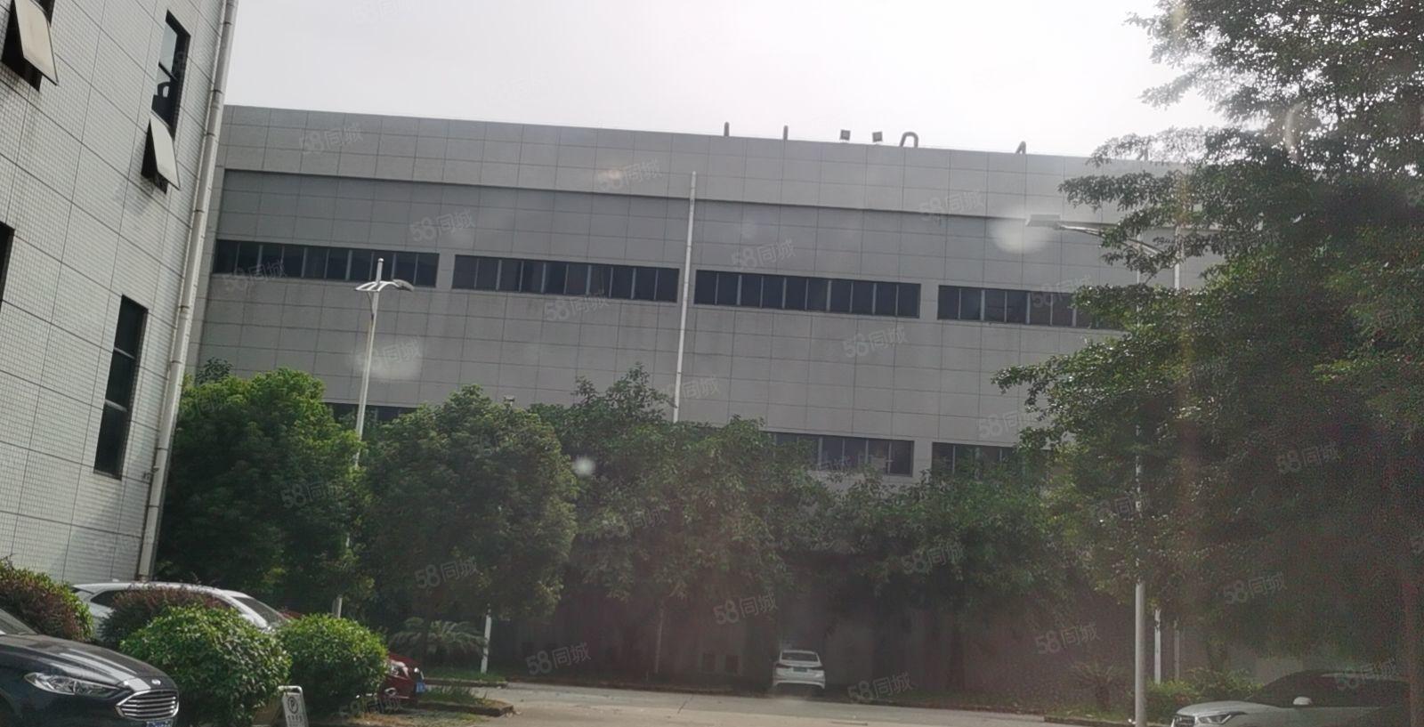 东莞市一手房东，有无尘车间水电齐全，证件齐全独院厂房出租