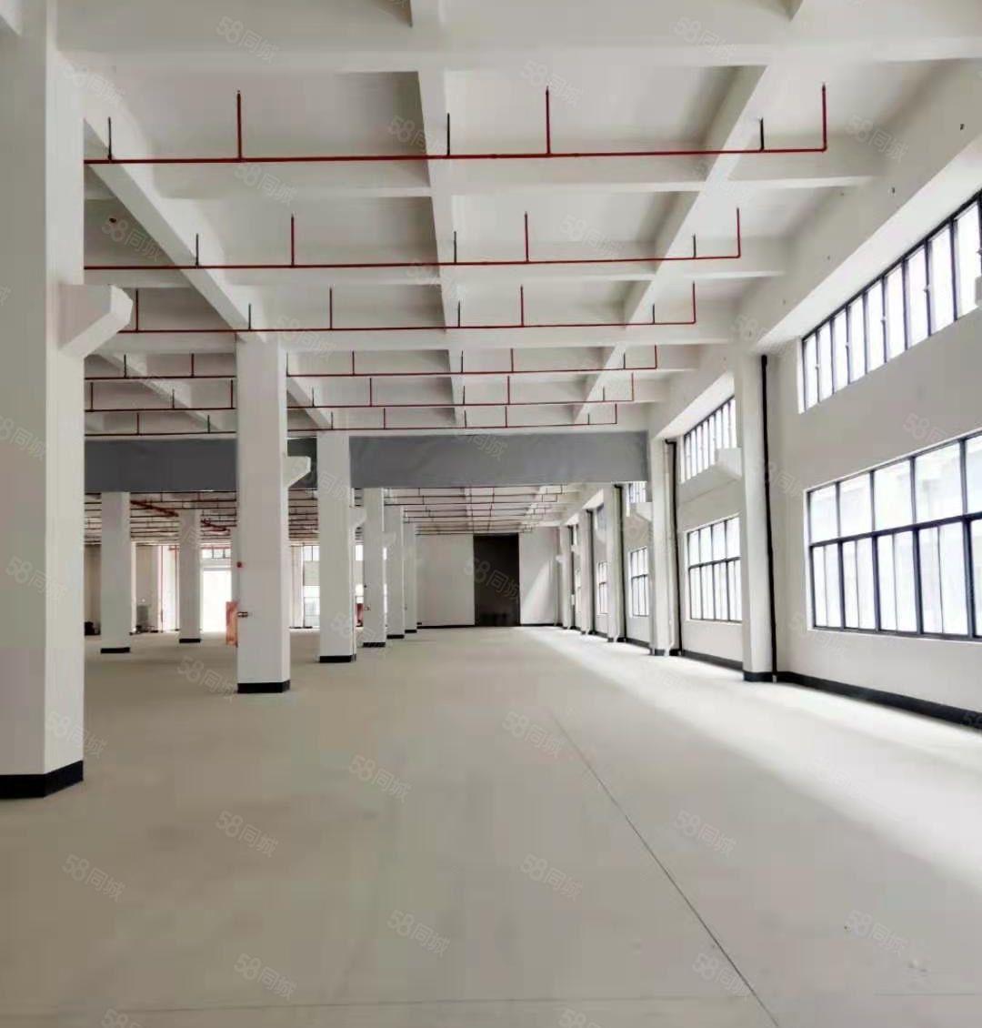 大岭山 杨屋临深大型工业园厂房5000平起分上市公司形象标准