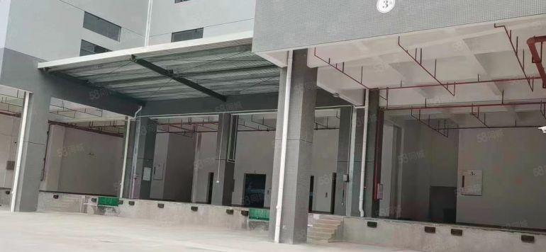 大岭山原房东新建厂房出租单层面积3800平方实际面积出租可分