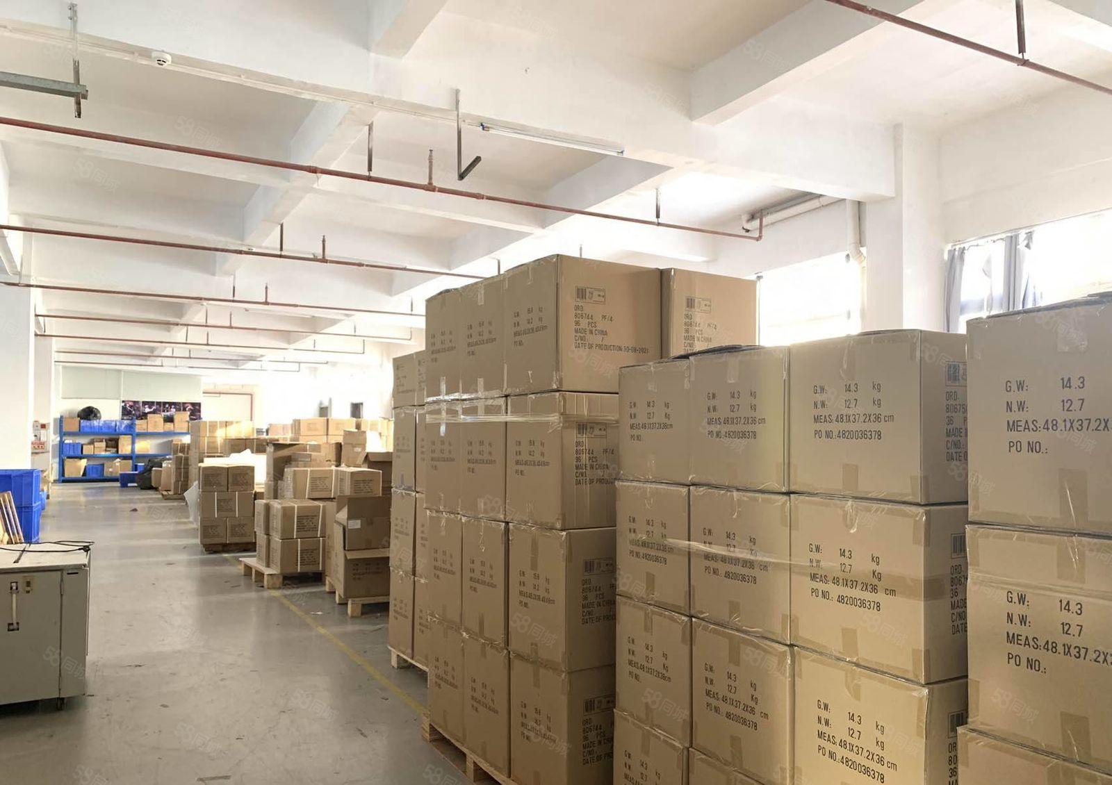 大岭山厂房出租工业园3楼豪华装修2400平低价出租可做仓库