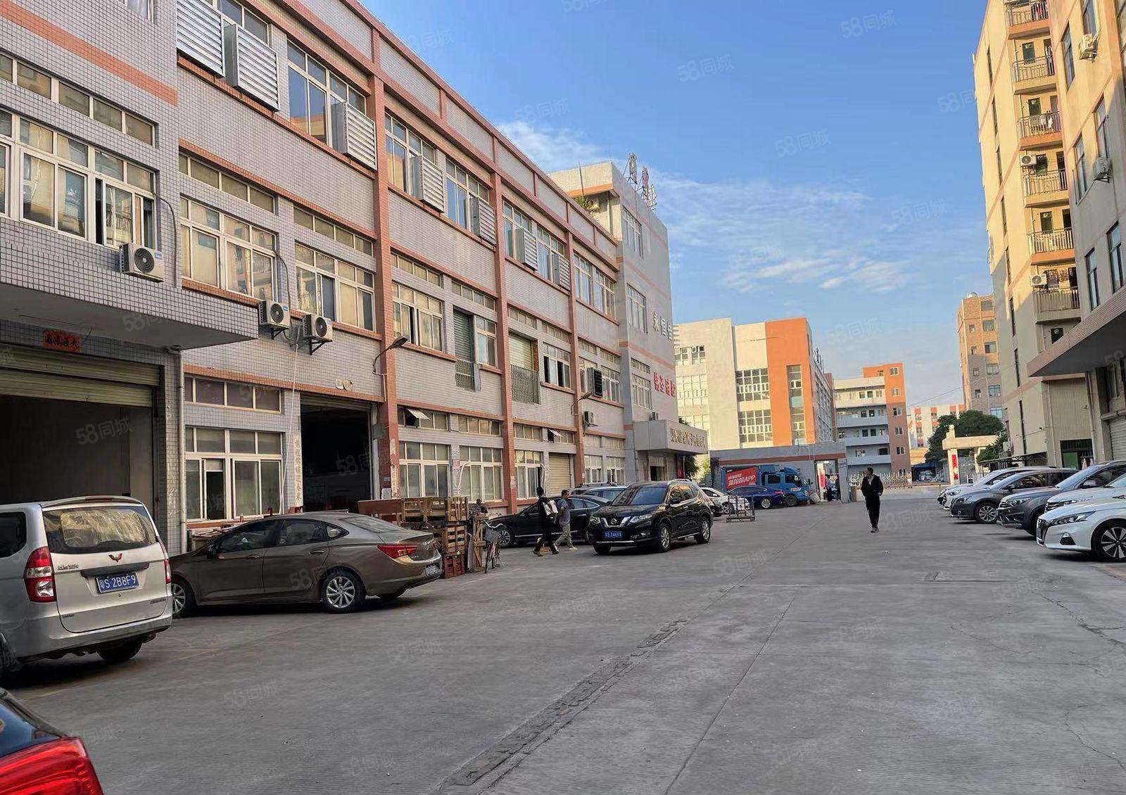 大岭山厂房出租工业园3楼豪华装修2400平低价出租可做仓库