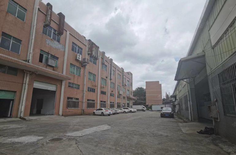 大岭山杨屋标准钢构独院厂低价厂房仓库分租一楼楼上500平起