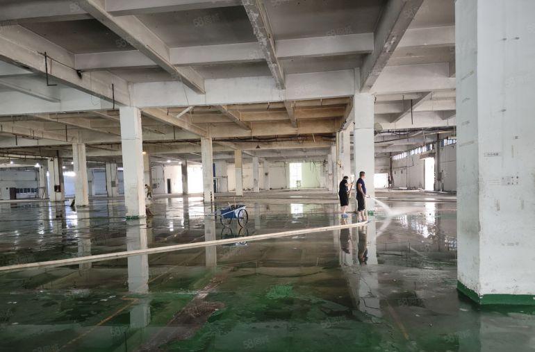 本地房东，大岭山杨屋一楼厂房出租，1000平起分租，层高6米