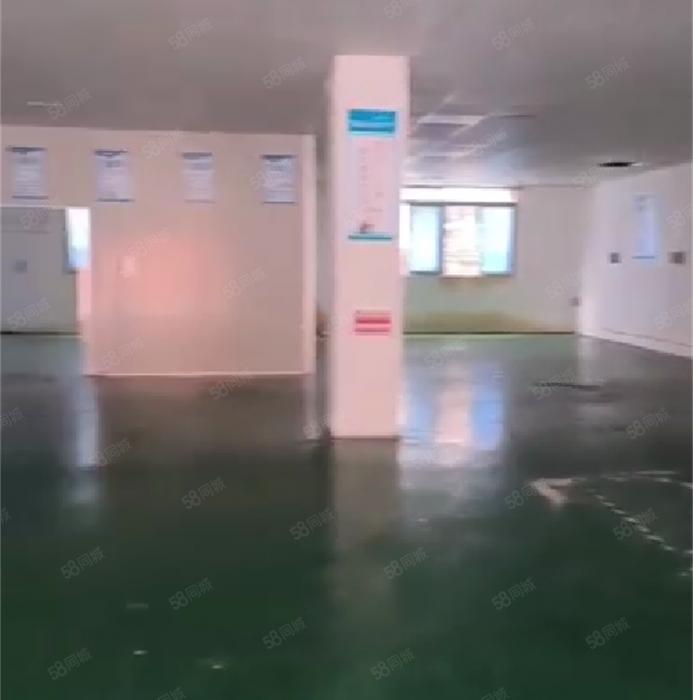 大岭山杨屋靠深圳 一楼厂房出租 精装修 水电齐全 超低价