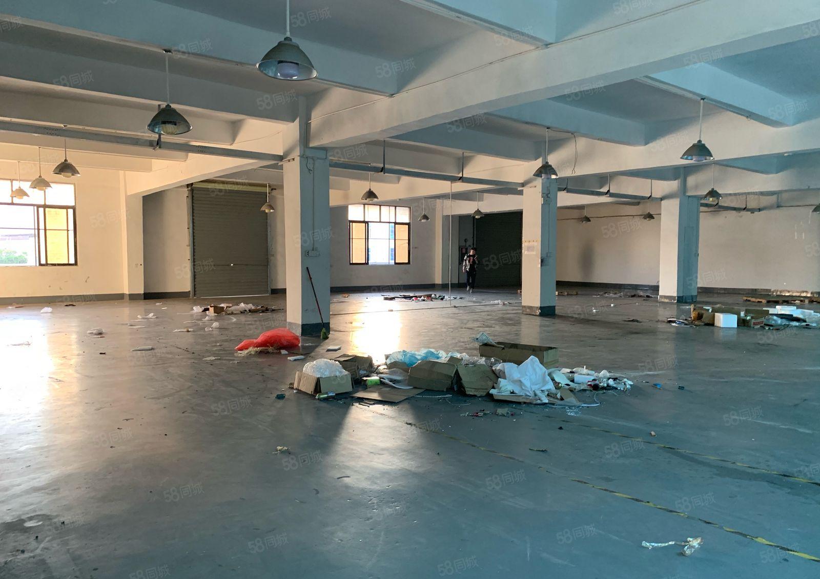 大岭山工业区原房东精装修1000平厂房出租仓库出租