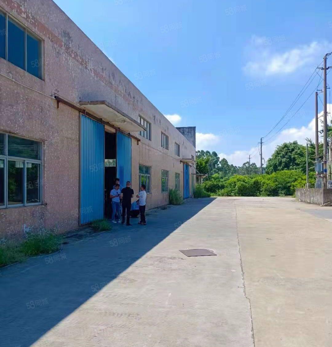 大岭山厚大路边单一层3000平方，面积实量，配电630千瓦