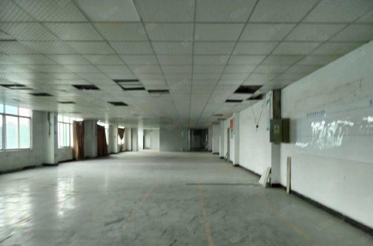 超低价  大岭山厂房出租700平 装修齐全空地大可分租