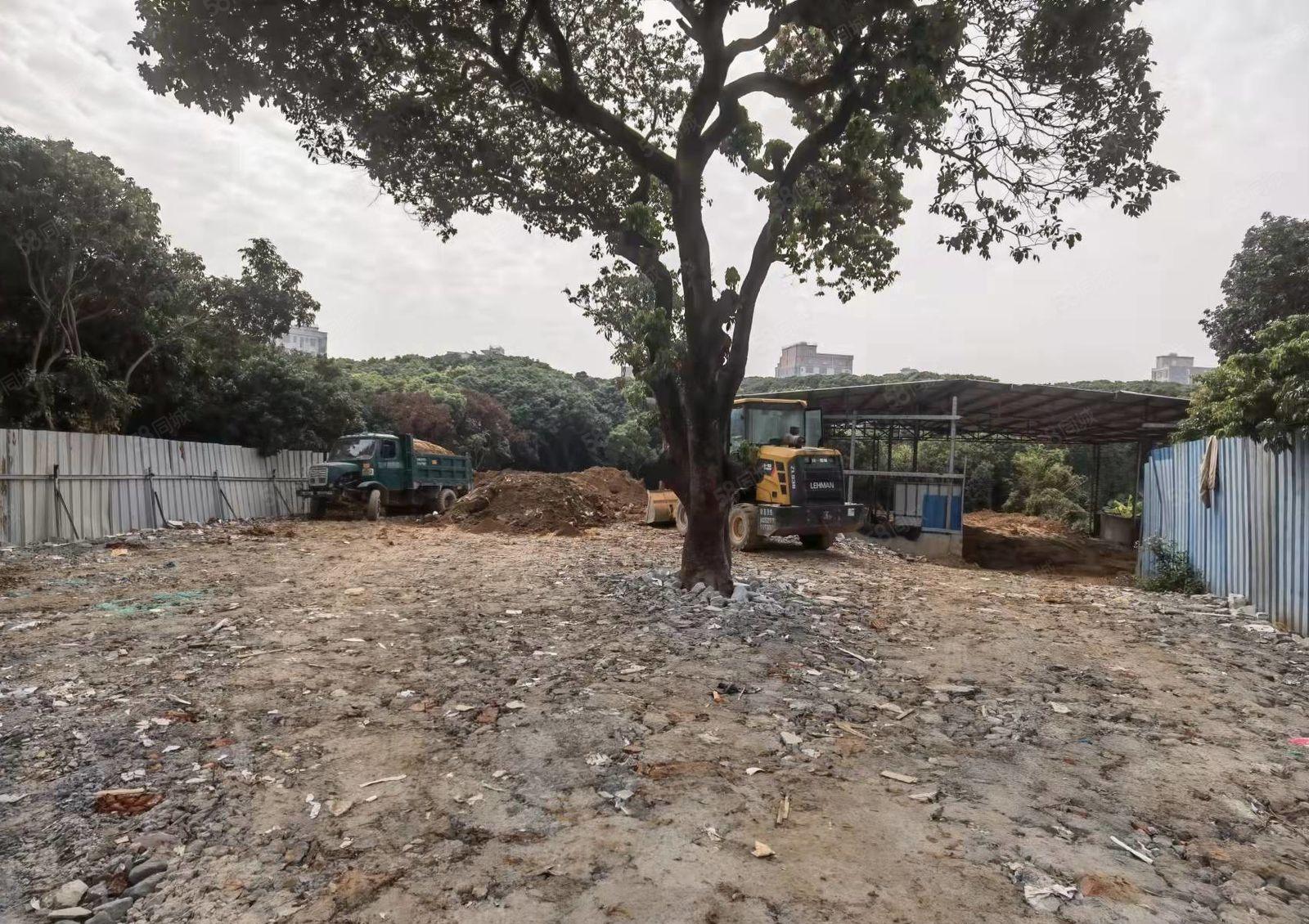 不怕脏及噪声 大岭山镇原房东出租独院铁皮300空地600平