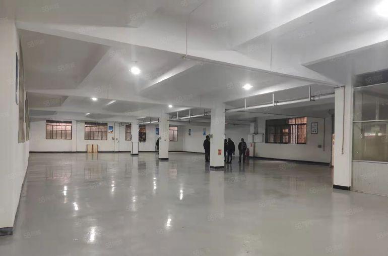 大岭山厂房一楼850平精装修水电齐全厂房出租仓库出租空地出租