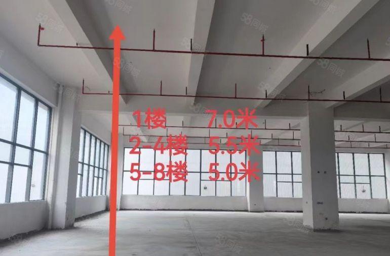 大岭山全新科技园标准原房东厂房500平米起出租