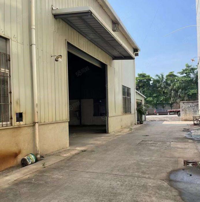 大岭山杨屋新空出独门独院钢构厂房出租，滴水8米，超低价