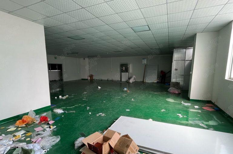 低价厂房出租大岭山杨屋楼上洁净车间900平带精装修现成地坪漆