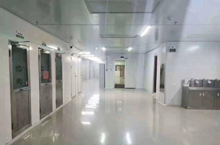 东莞市单一层厂房，独院厂房出租，带行车厂房出租，仓库出租。