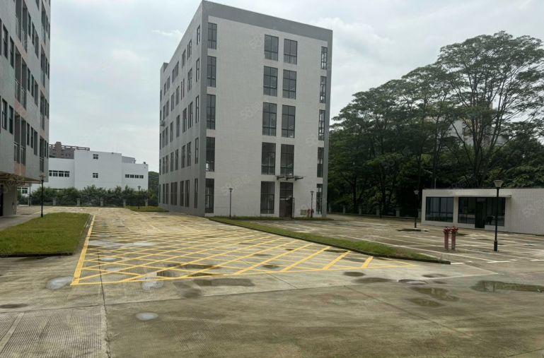 大岭山镇杨屋厂房出租，园区形象好靠近深圳，一手房东低价出租