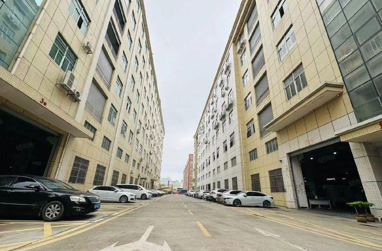 大岭山1300平本地房东红本标准三楼精装修厂房实际面积出租