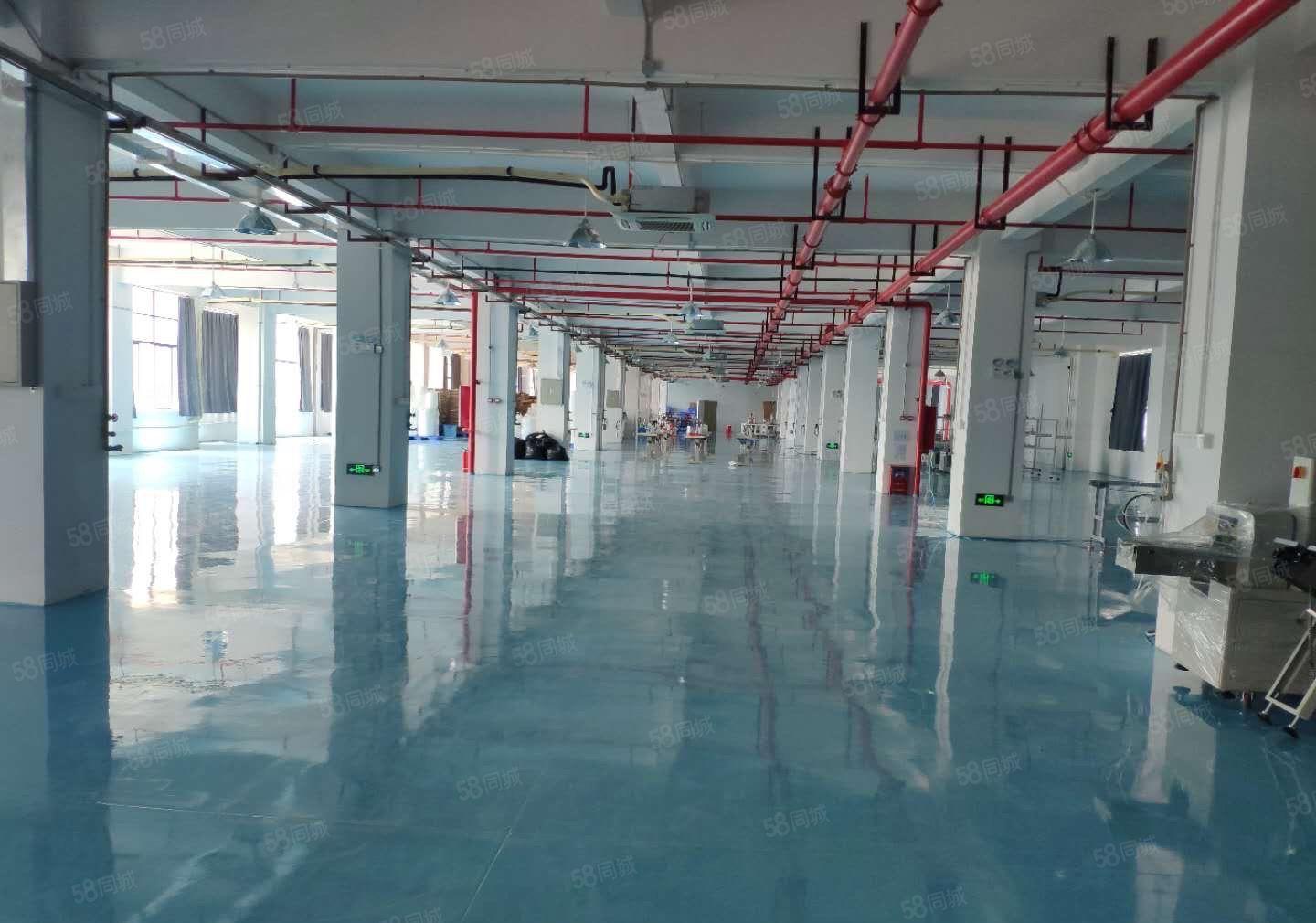 大岭山新出原房东2580平方精装修厂房