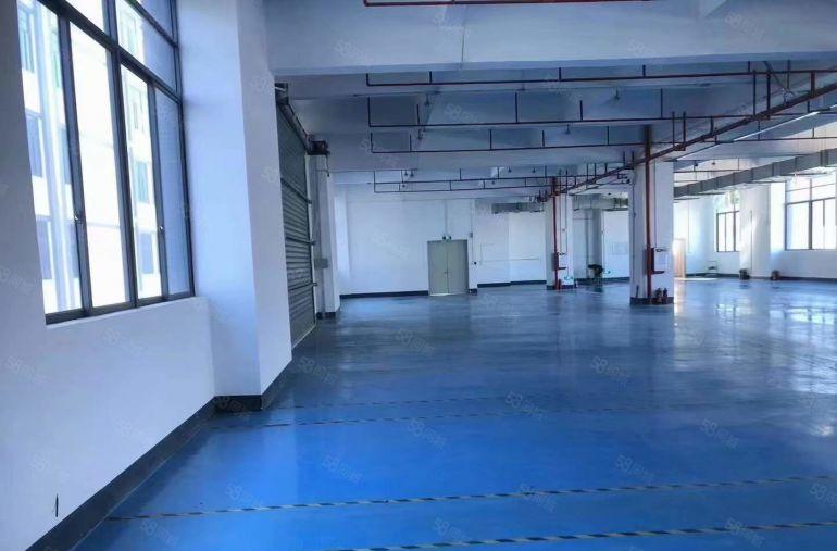 大岭山镇大塘村精装修办公楼厂房