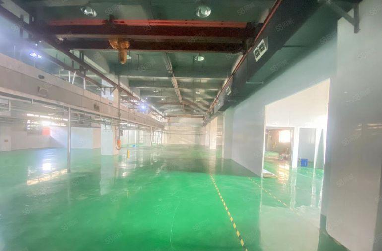 大岭山一楼1380平厂房出租，航车免费用，全新精装修水电齐全