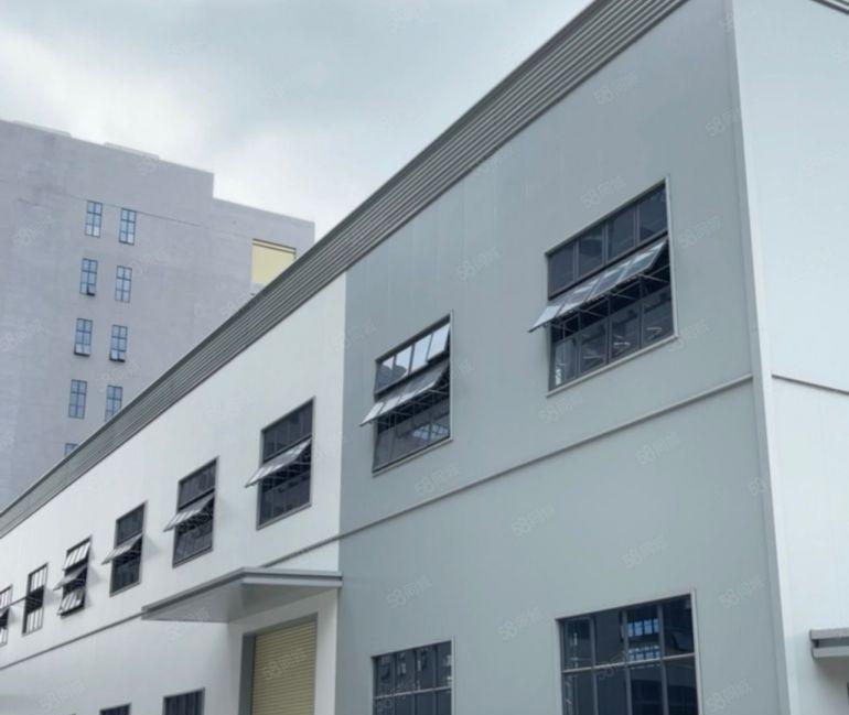 大岭山原房东全新钢构厂房高度15米牛角10米