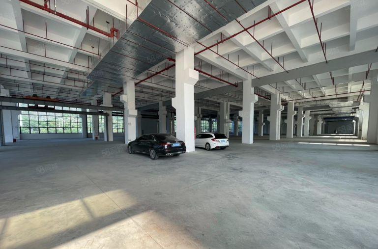 大岭山镇城区原房东全新工业园厂房出租，高度8米，形象好