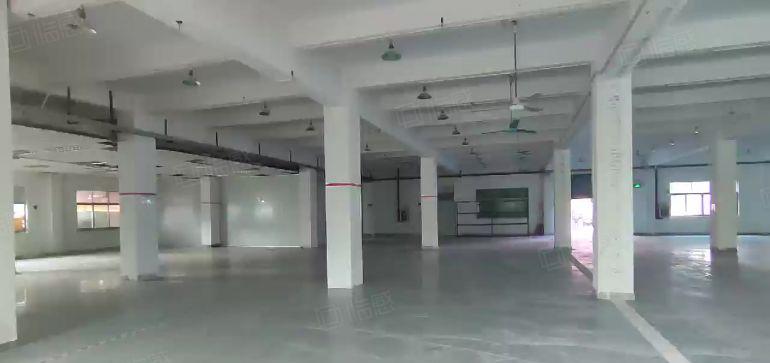 大岭山原房东新出精装修一楼标准厂房，带现成办公室，水电齐全