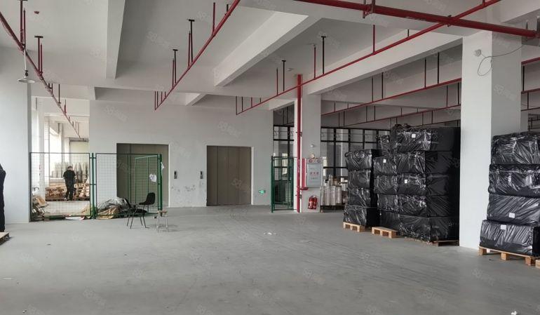 大岭山原房东厂房独院全新园区分租楼上每层3980平实际面积