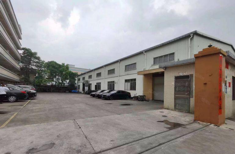 大岭山杨屋原房东小独院，钢构1300平，租金13元，高度8米