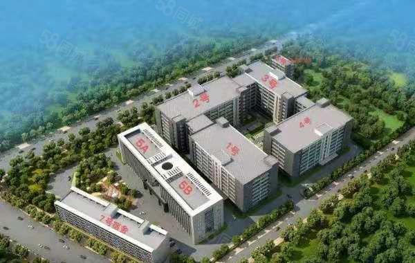 大岭山全新红本工业园厂房招租 现成消防喷淋 可办环坪 精装修