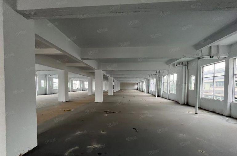 大岭山镇，独院标准厂房低价出租，出入方便