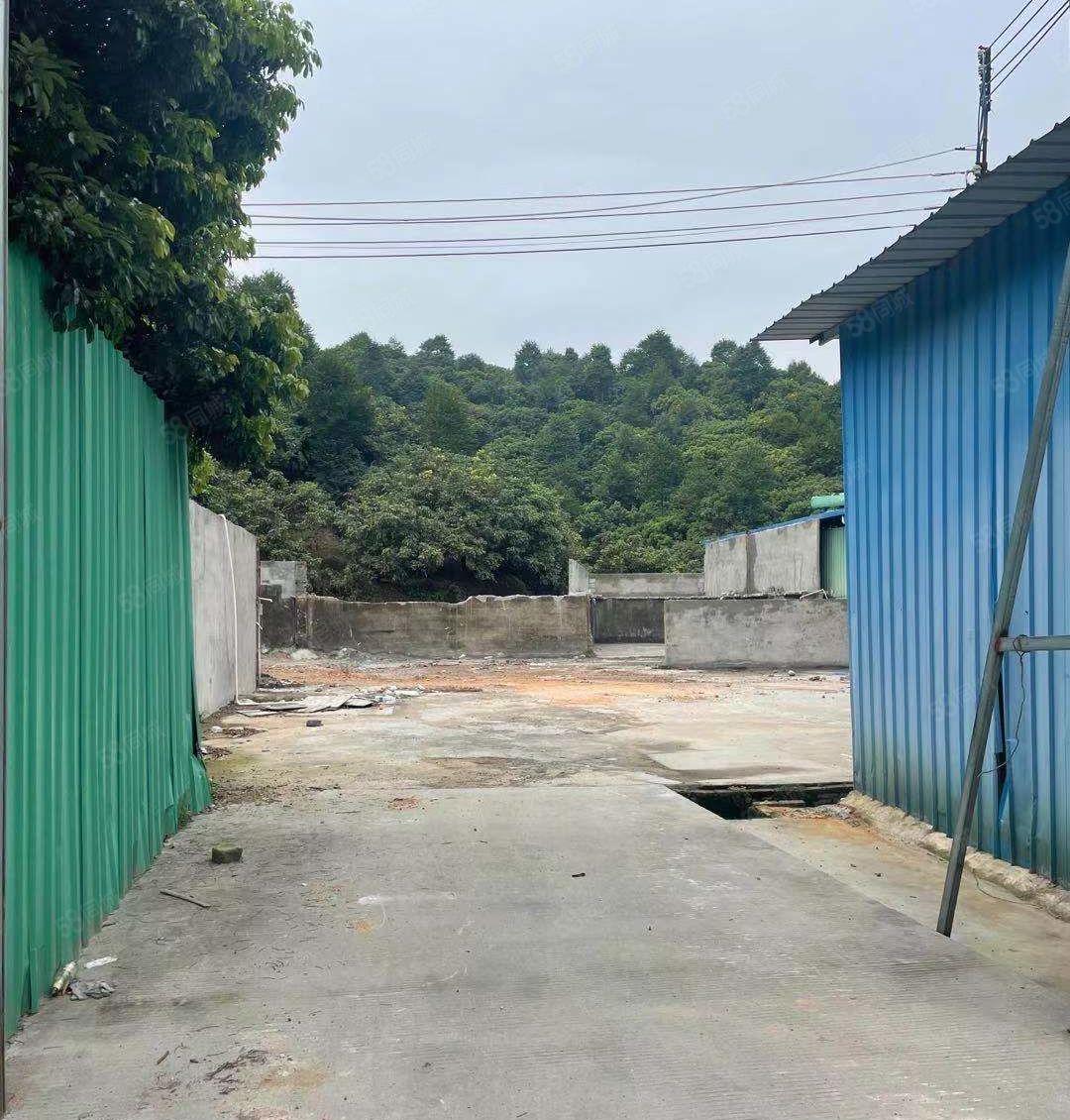 捡漏一楼8块独院 大岭山镇原房东出租铁皮空地2500平可分