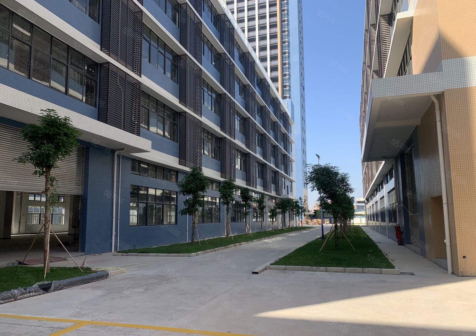 可分租，全新独院厂房60000平上市公司形象国有双证超大空地