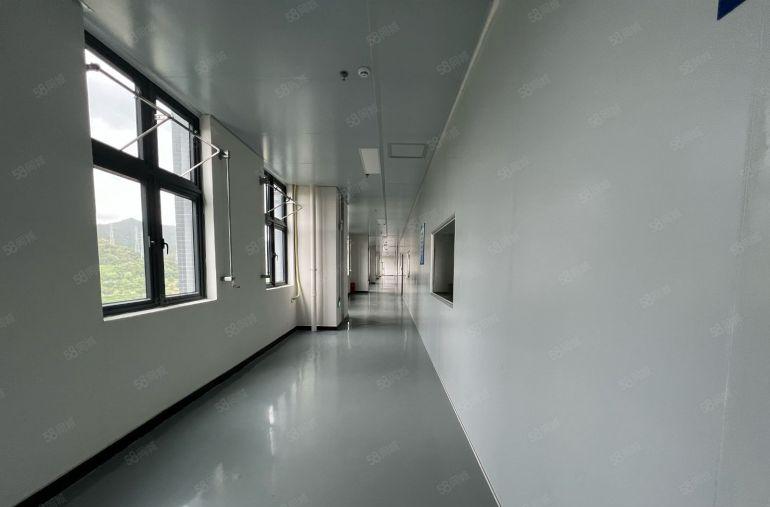 大岭山镇颜屋村原房东1728平无尘车间高速旁边上市公司形象