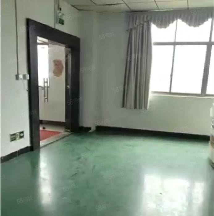 大岭山颜屋高速附近，园区厂房出租 精装修 超低价 1500平