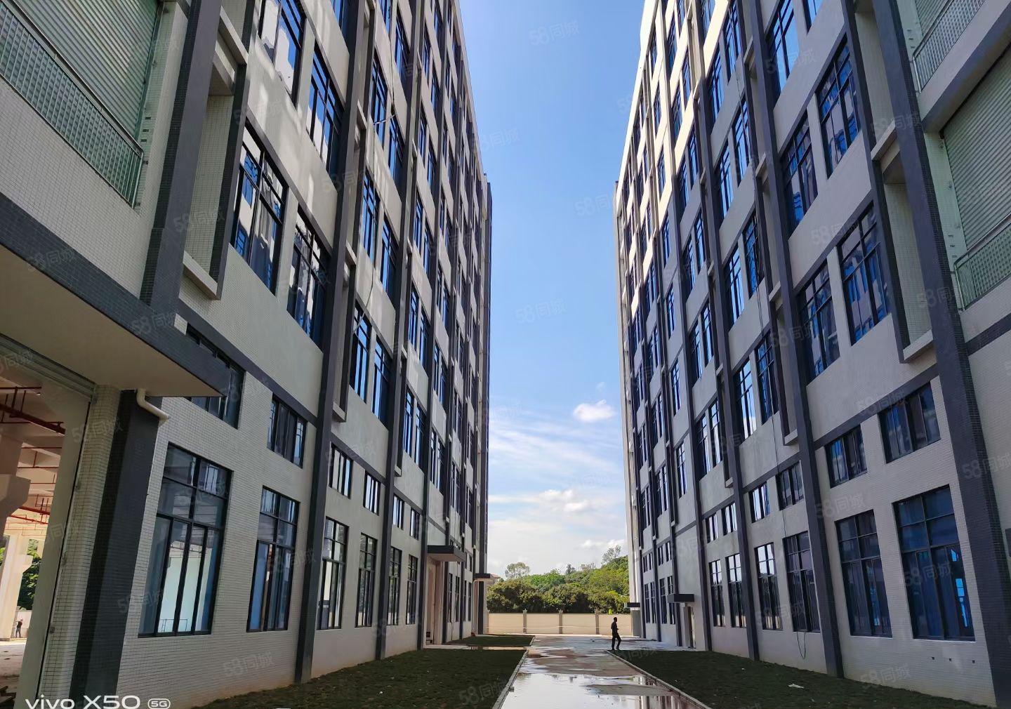 大岭山大塘村一二楼3000平米厂房低价出租，可分租可办环评