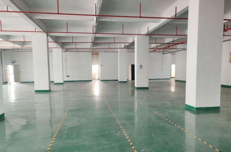 大岭山镇原房东花园式精装修标准厂房，证件齐全，有红本国有双证