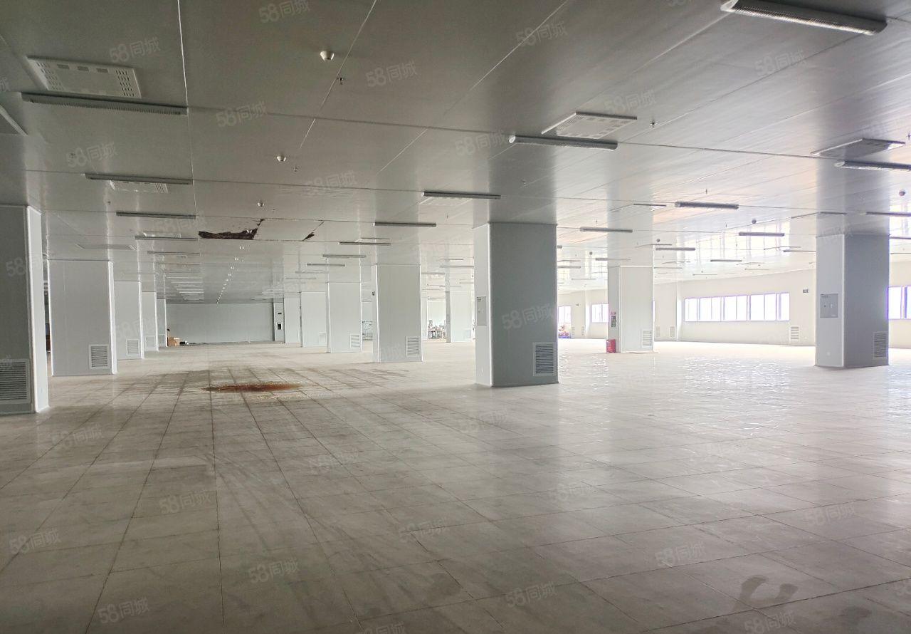 东莞临深片区大岭山镇一手房东独院，带房产证高大上园区厂房出租